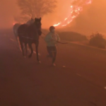 Eaton Fire Explodes to 10,600 Acres in Angeles National Forest; Five Dead, Thousands Evacuated